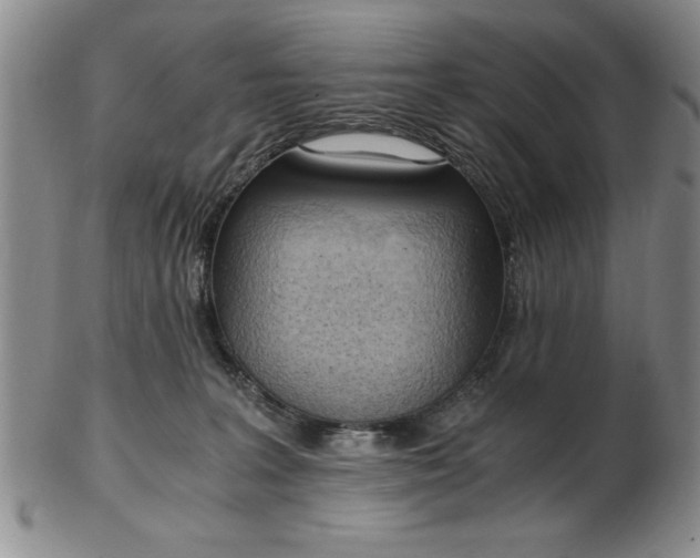 X0000103140227200809051622