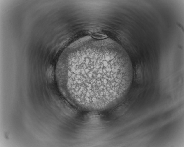 X0000103140228200809051622