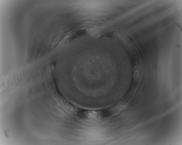 X0000103140229200809051622