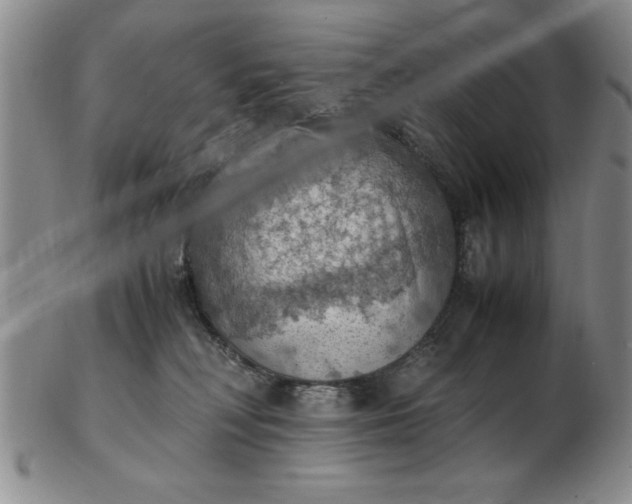 X0000103140230200809051622