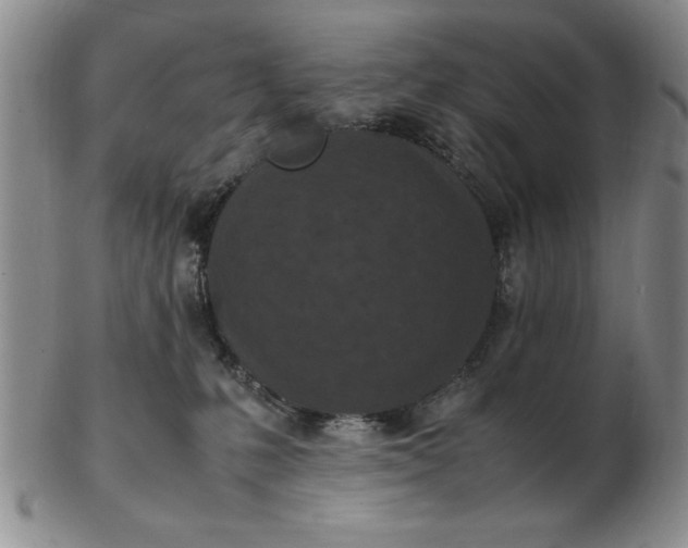 X0000103140231200809051622