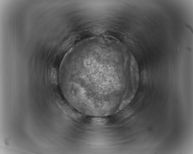 X0000103140234200809051622