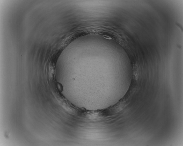 X0000103140235200809051622