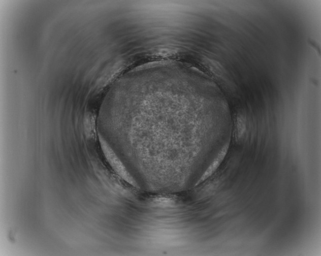 X0000103140236200809051622