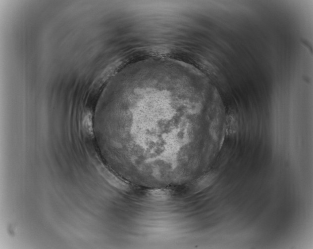 X0000103140238200809051621