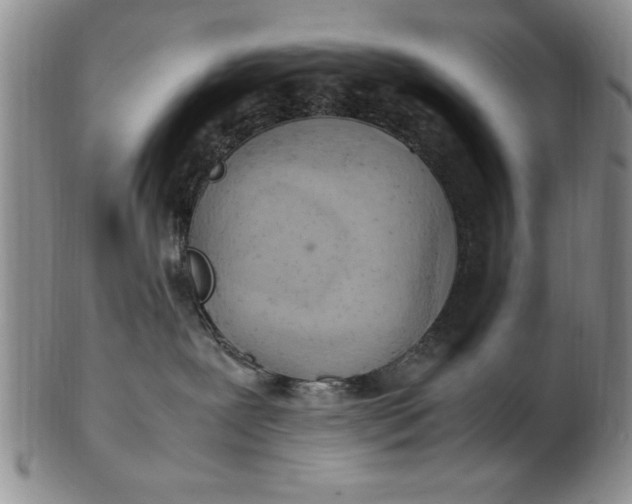 X0000103140239200809051621