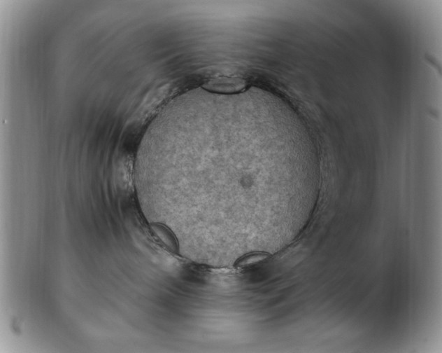 X0000103140240200809051621