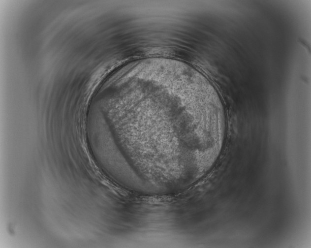 X0000103140241200809051621