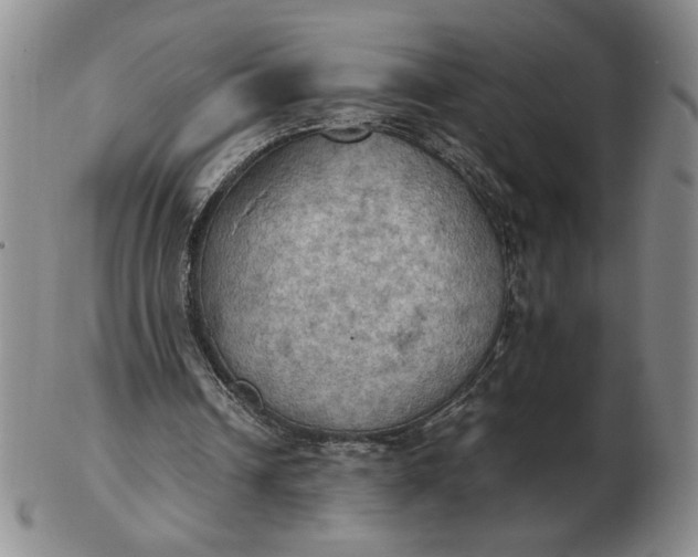 X0000103140242200809051621