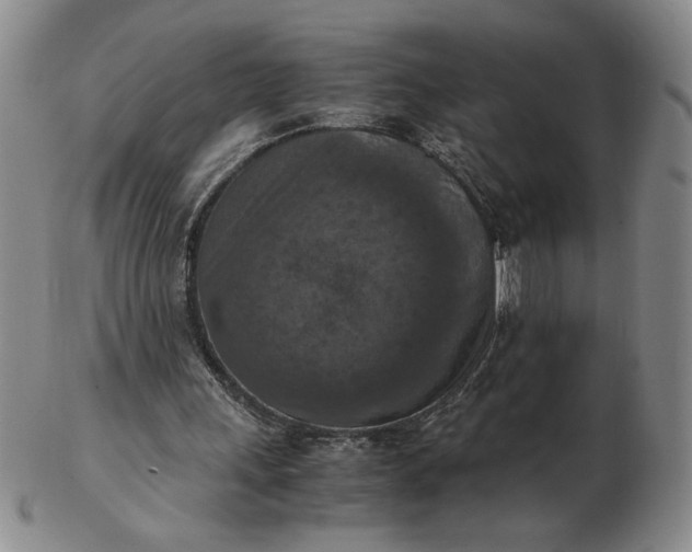 X0000103140243200809051621