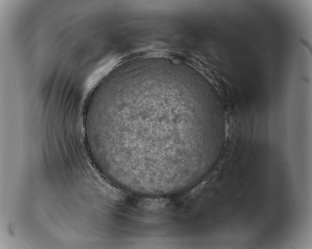 X0000103140245200809051621