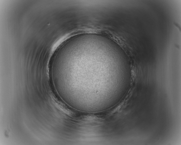 X0000103140246200809051621