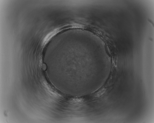 X0000103140247200809051621