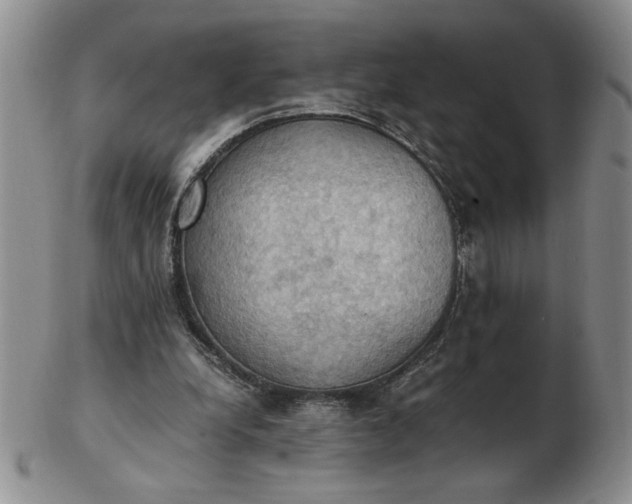 X0000103140248200809051621