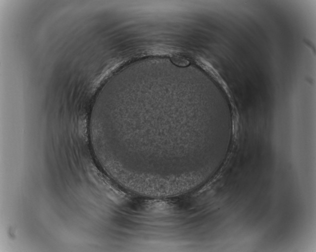 X0000103140249200809051621