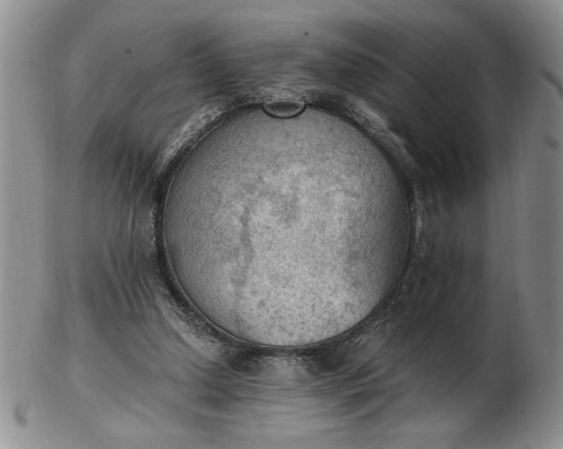 X0000103140250200809051621