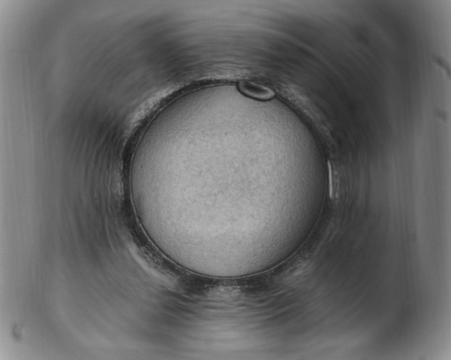 X0000103140252200809051621