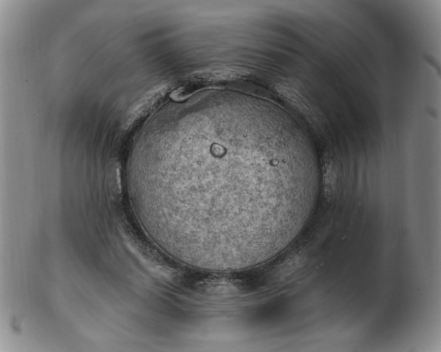 X0000103140254200809051621