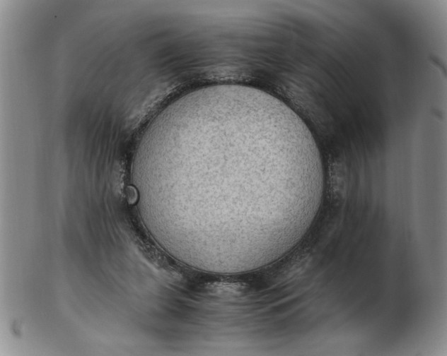 X0000103140255200809051621