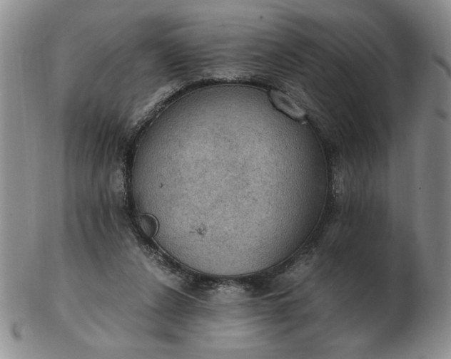 X0000103140256200809051621