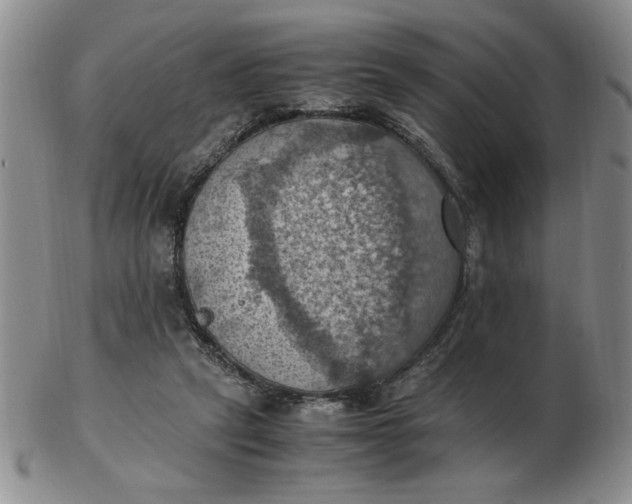 X0000103140257200809051621