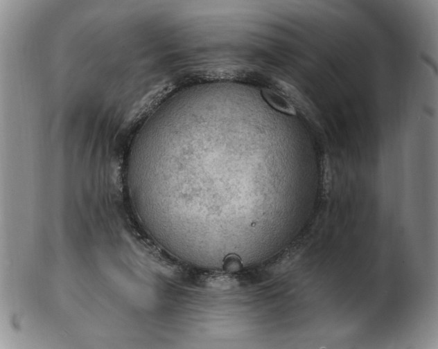 X0000103140258200809051621