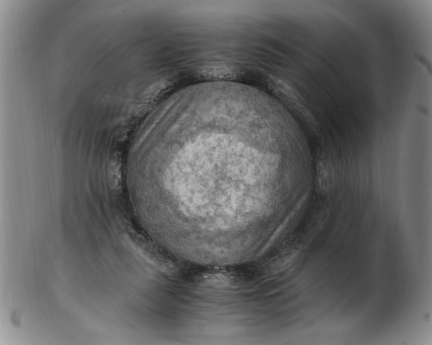 X0000103140259200809051621