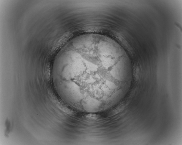 X0000103140261200809051621