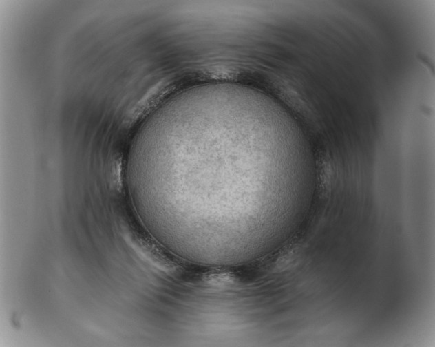 X0000103140262200809051621