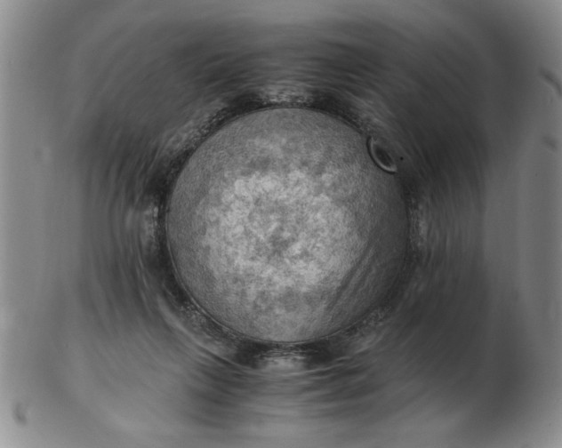 X0000103140263200809051621