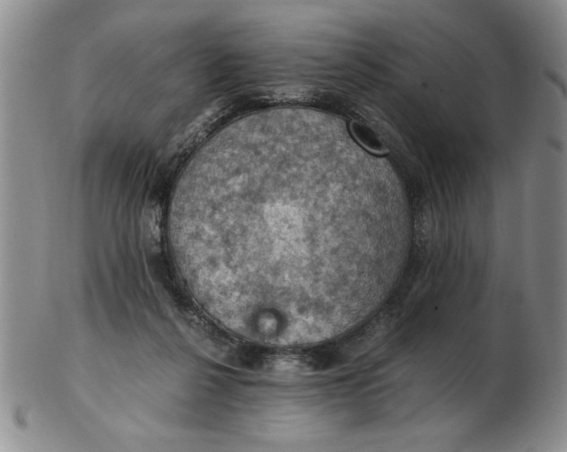 X0000103140264200809051621