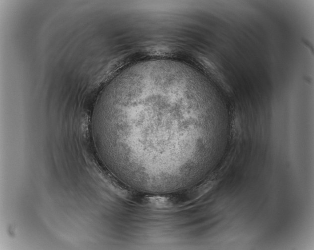 X0000103140265200809051621