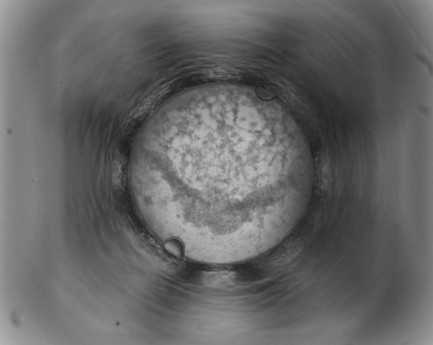 X0000103140266200809051621