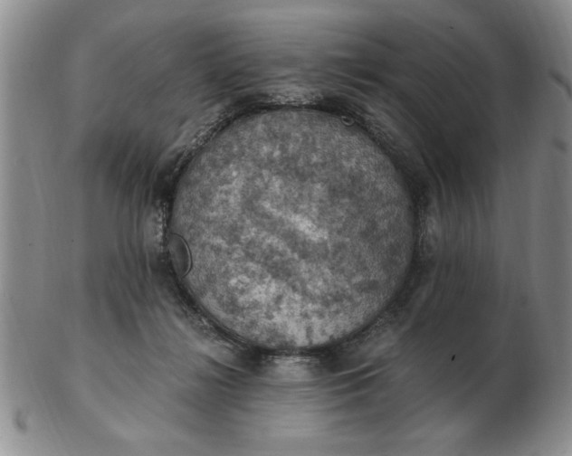 X0000103140268200809051621