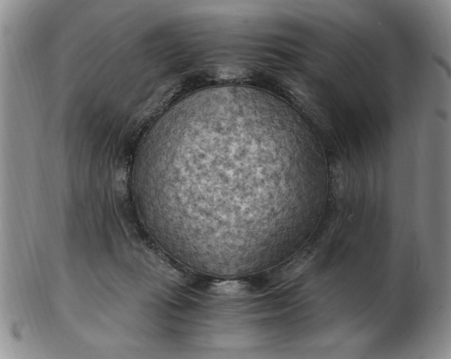 X0000103140269200809051621