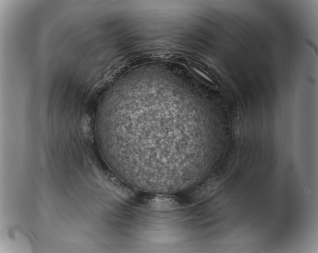 X0000103140270200809051621