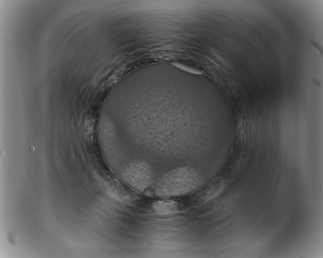 X0000103140271200809051621