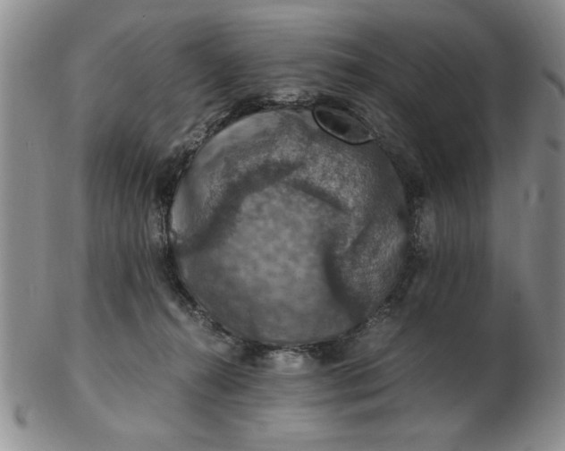 X0000103140272200809051621