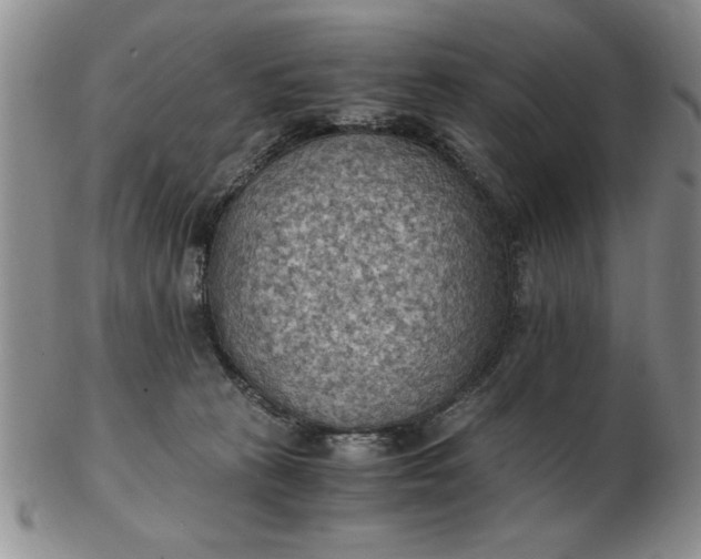 X0000103140273200809051621