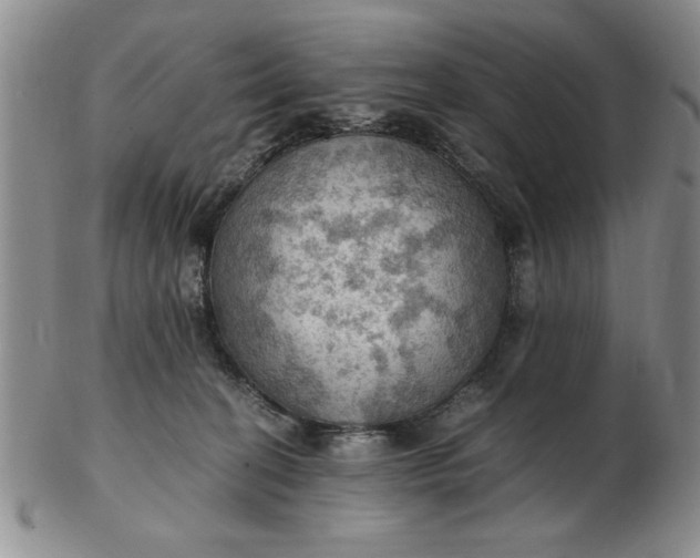 X0000103140274200809051621