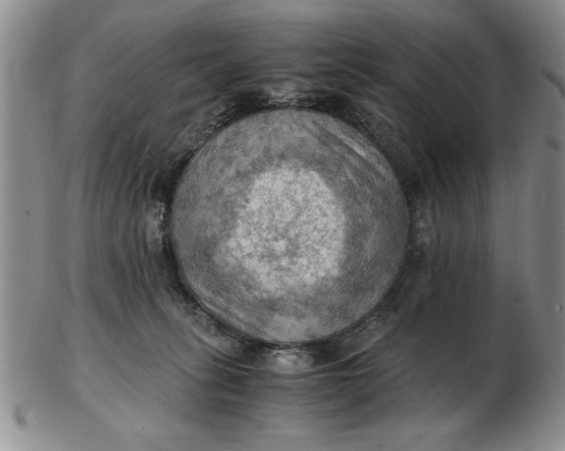 X0000103140275200809051621