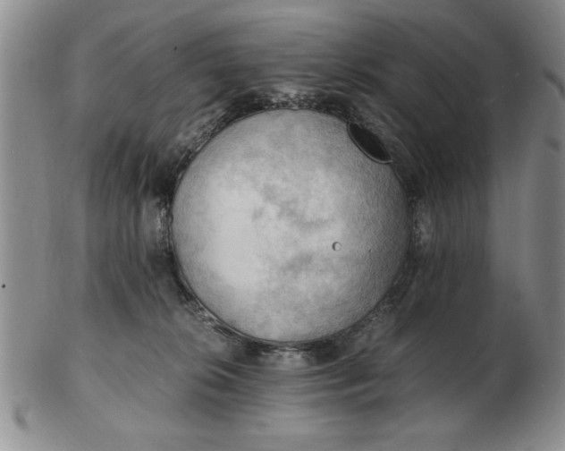 X0000103140276200809051621