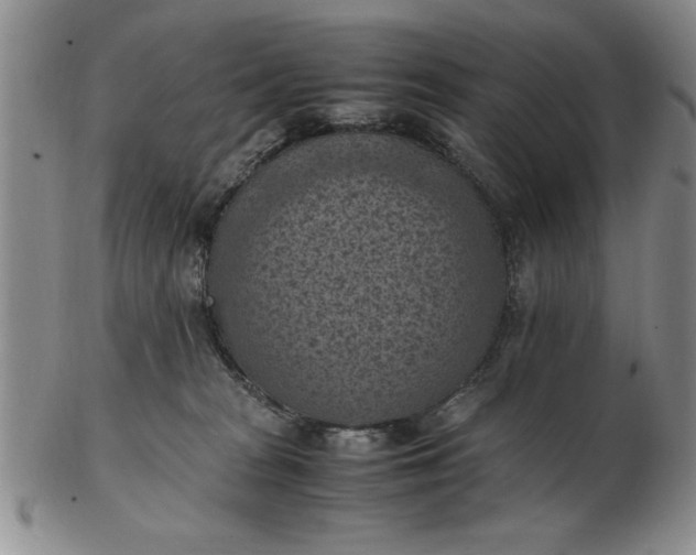 X0000103140277200809051621