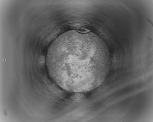 X0000103140278200809051621