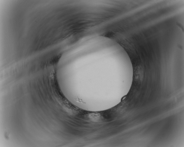 X0000103140279200809051621