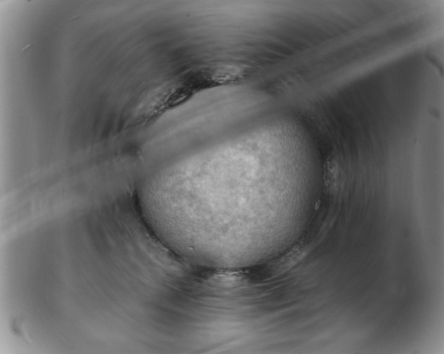 X0000103140280200809051621