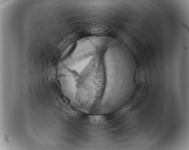 X0000103140281200809051621