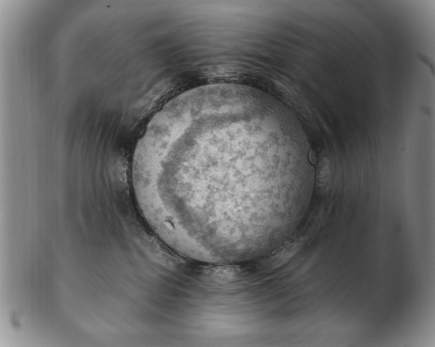 X0000103140282200809051621