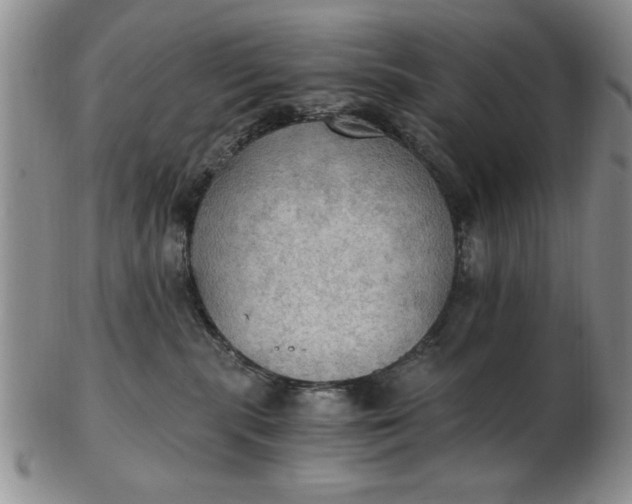 X0000103140283200809051621