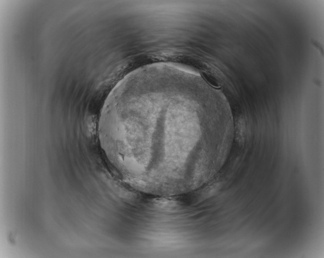 X0000103140284200809051621